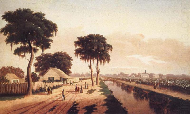 Cotton Plantation, unknow artist